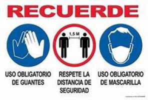recomendaciones